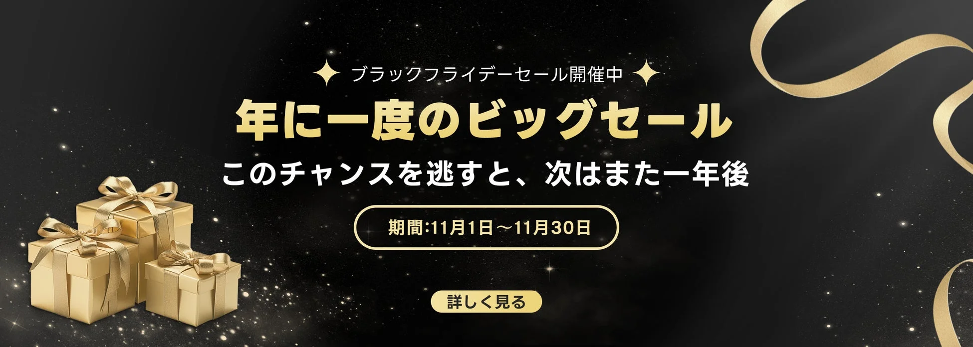 ブラックフライデーセール開催中
