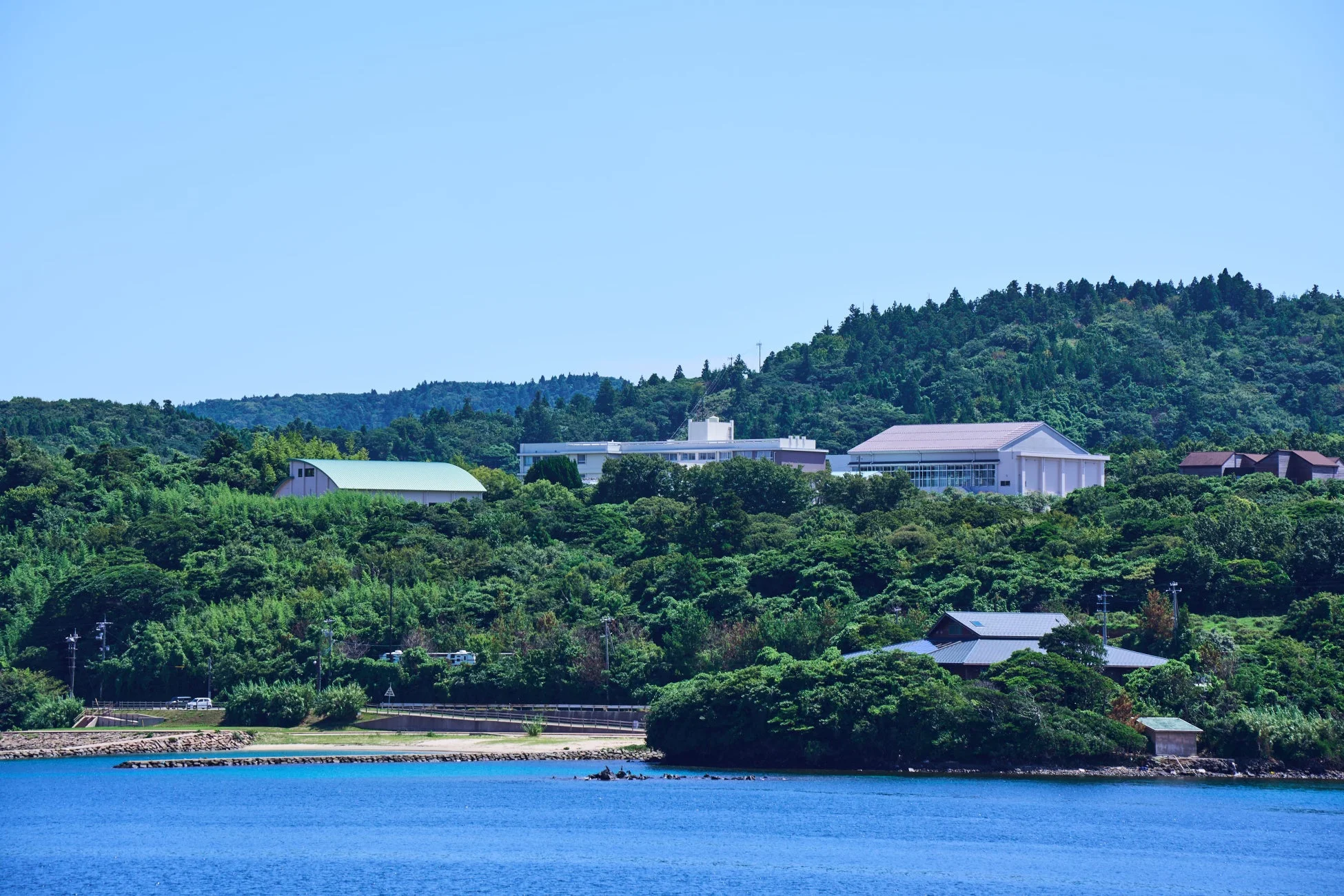 青い海と緑豊かな森が広がる海岸線の風景