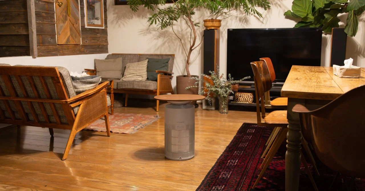 木製家具や観葉植物が配置された、居心地の良いリビングとダイニングの空間