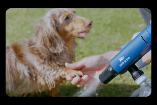 草の上で犬の足を洗う飼い主