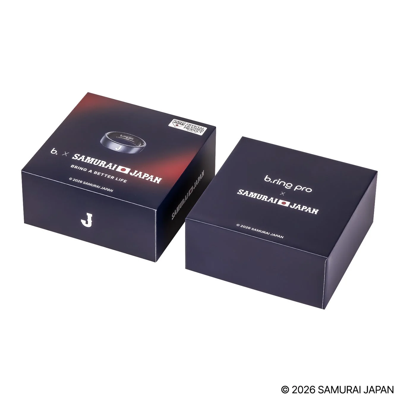 限定パッケージ