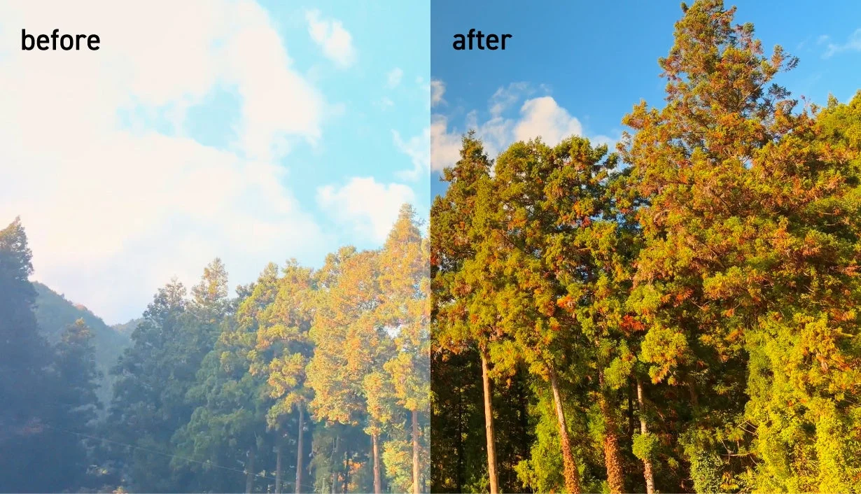 CPLフィルターによる色彩改善