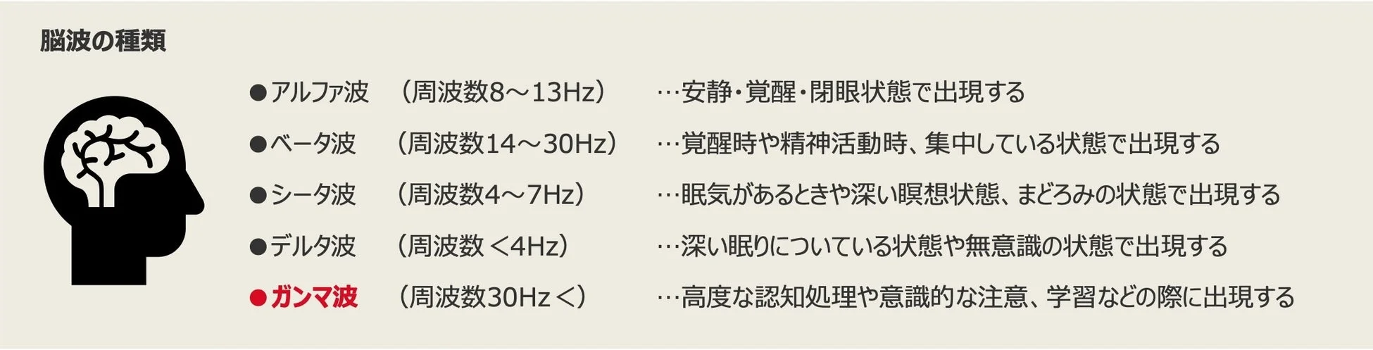 脳波の種類