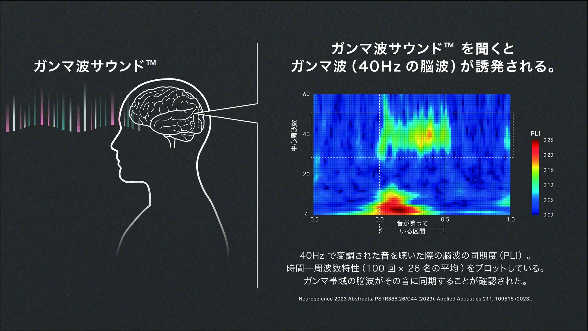 ガンマ波サウンド™の誘発メカニズム