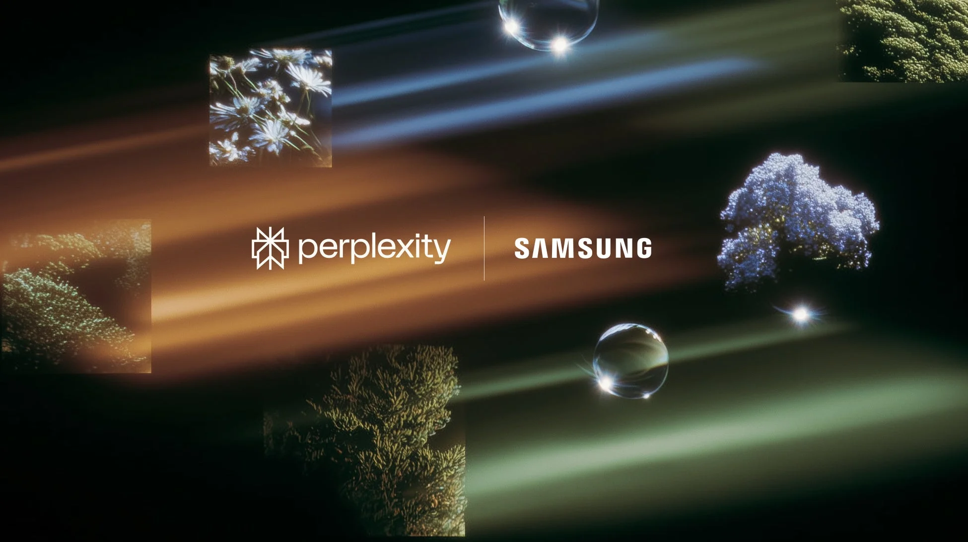 PerplexityとSamsungのロゴ