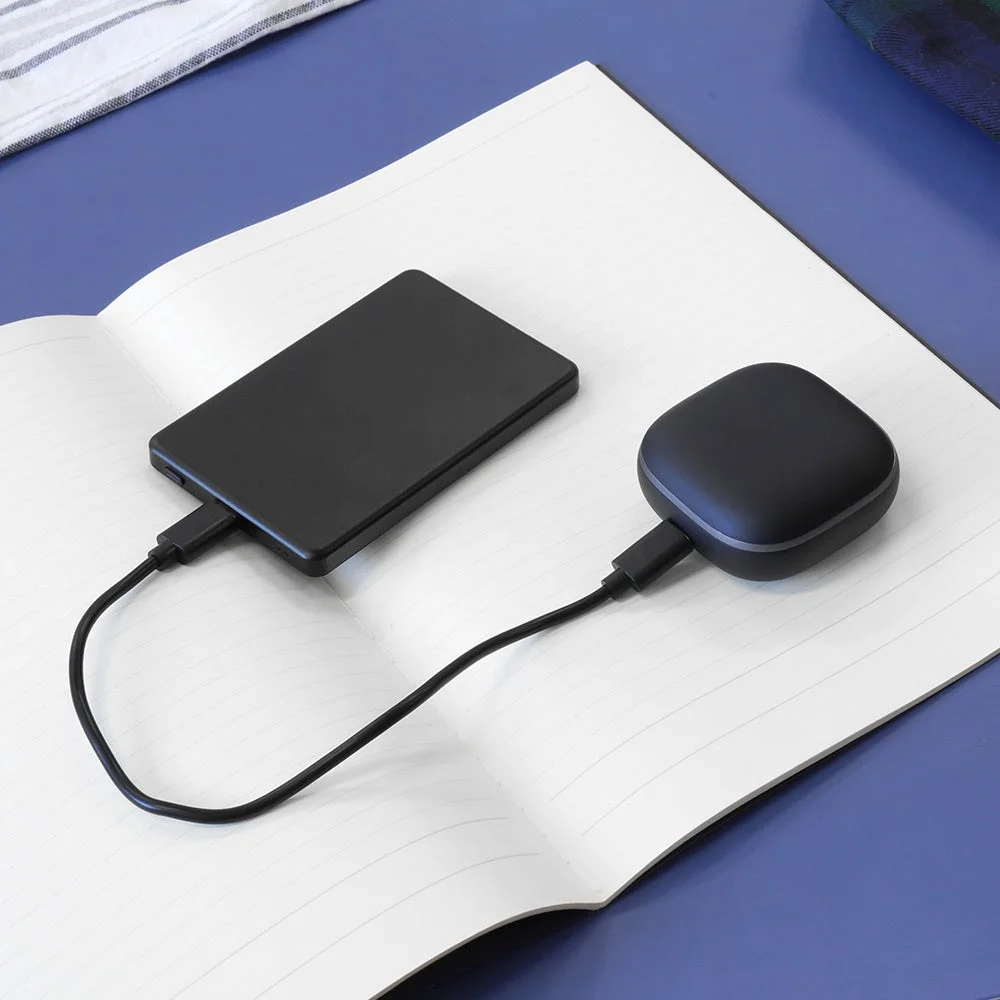 ワイヤレスイヤホンとポータブルハードディスクを充電する様子