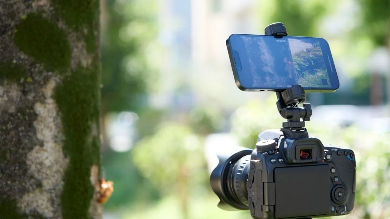 デジタル一眼レフカメラにスマートフォンが取り付けられ、外部モニターとして使用されている様子を捉えた画像です。背景は緑豊かな屋外で、木にはセミの抜け殻も見えます。撮影やVlog制作の準備をしているような風景です。