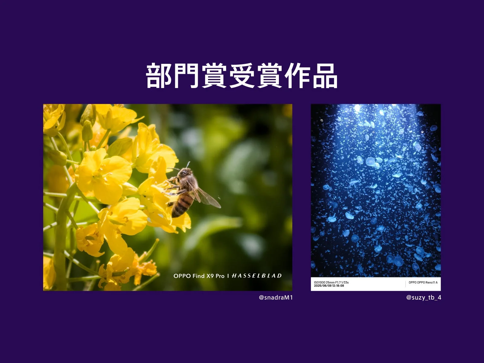 部門賞受賞作品