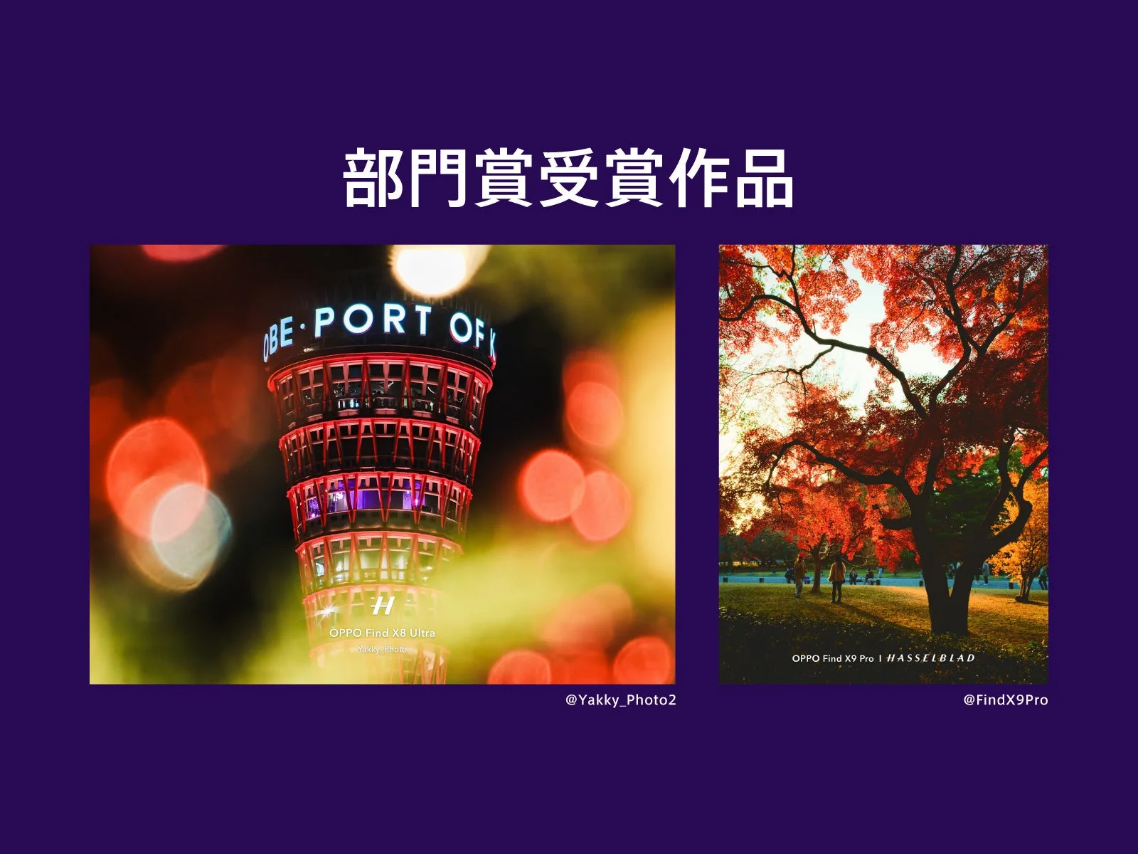 部門賞受賞作品