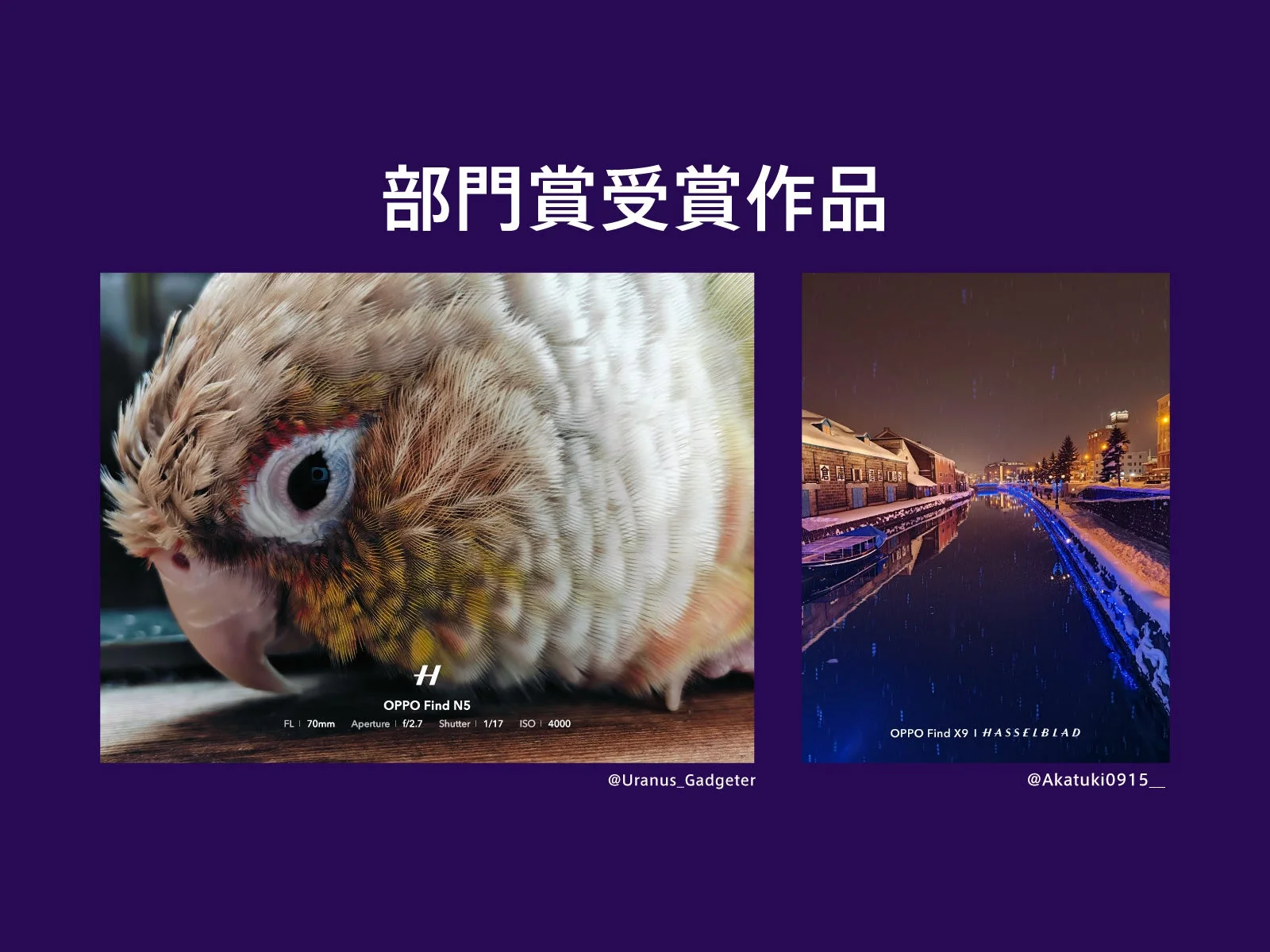 部門賞受賞作品