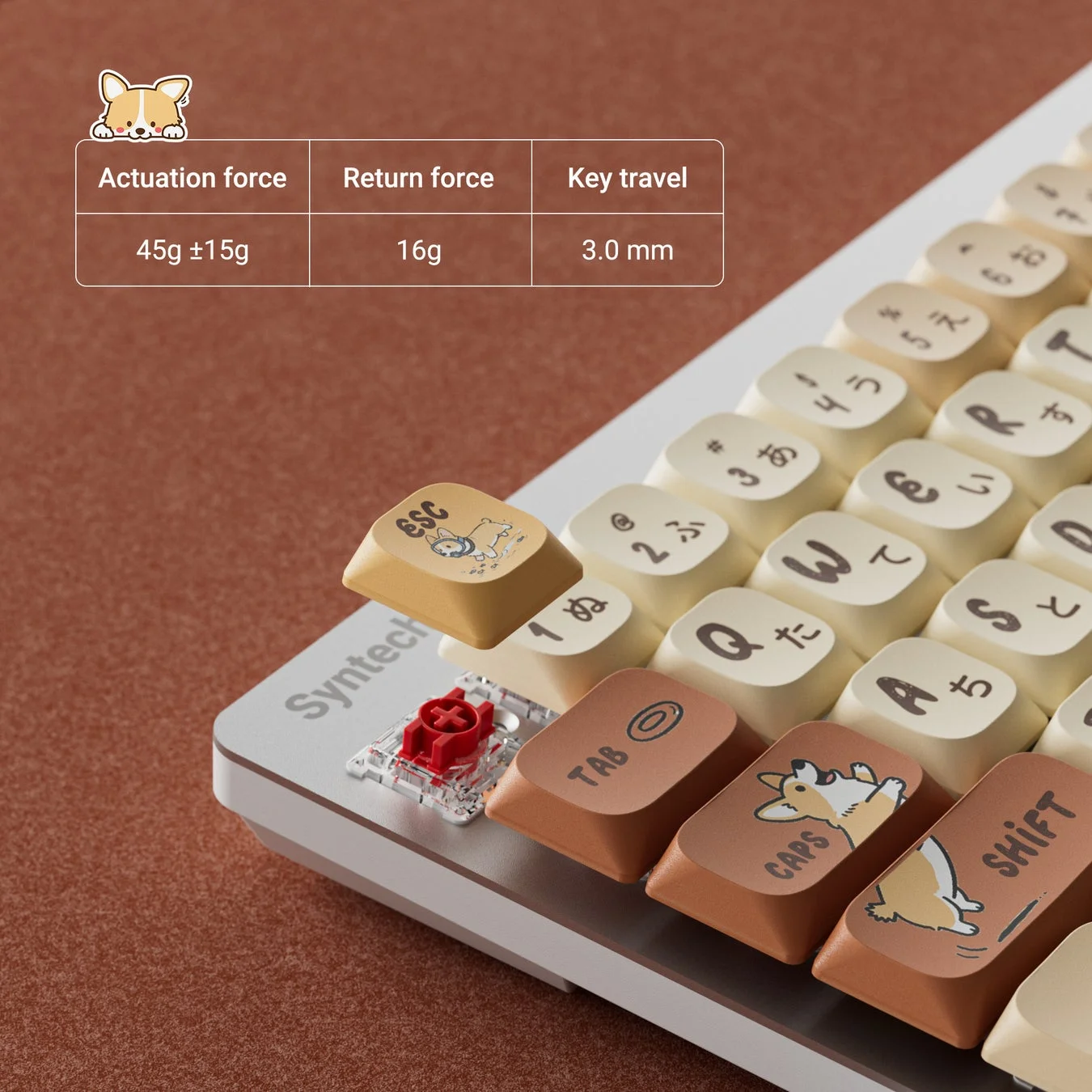 コルギー犬のイラストが特徴的なメカニカルキーボードのクローズアップ画像