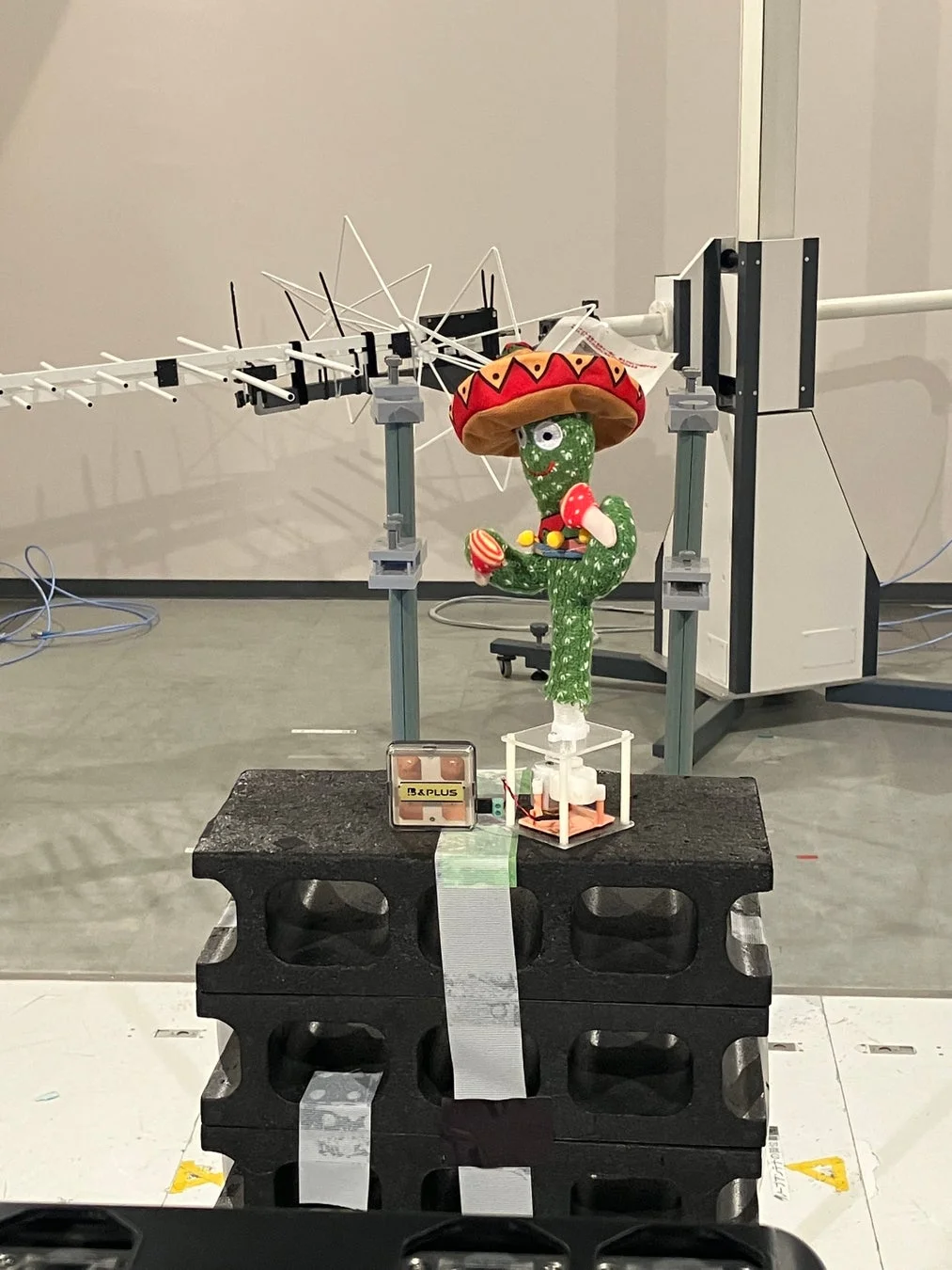 ソンブレロをかぶったサボテンのぬいぐるみが置かれた実験環境