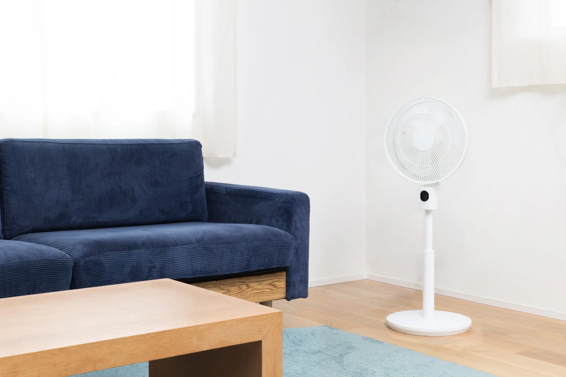 リビングに扇風機3