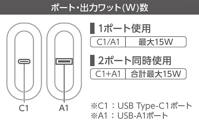 DE-C89L-10000シリーズのポートと出力ワット数