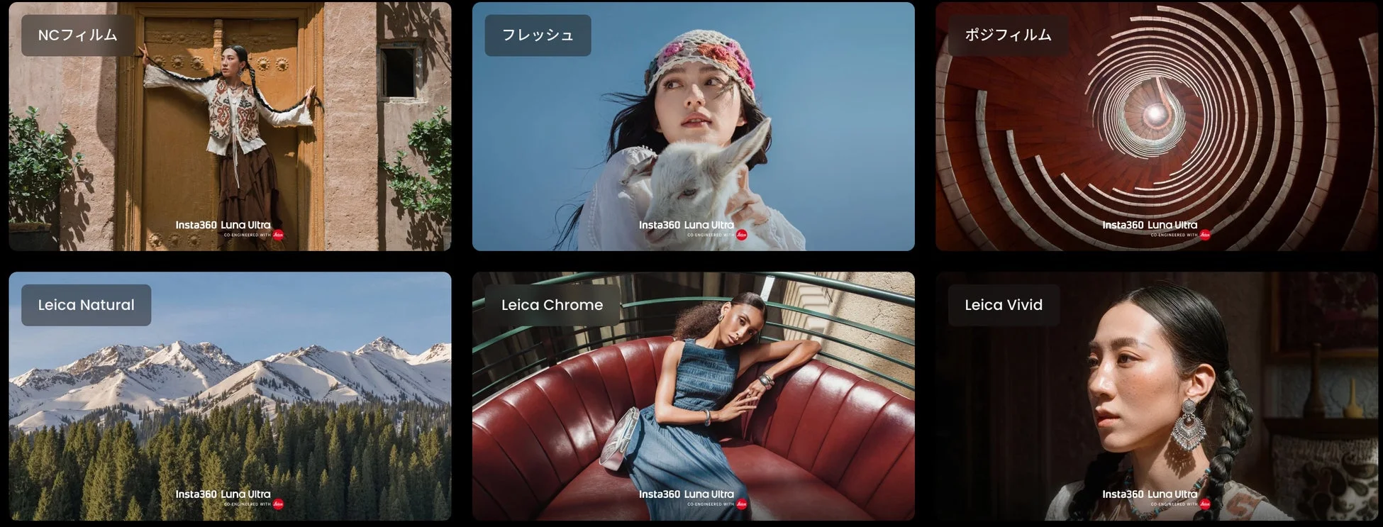 様々なカラープロファイルを比較する画像
