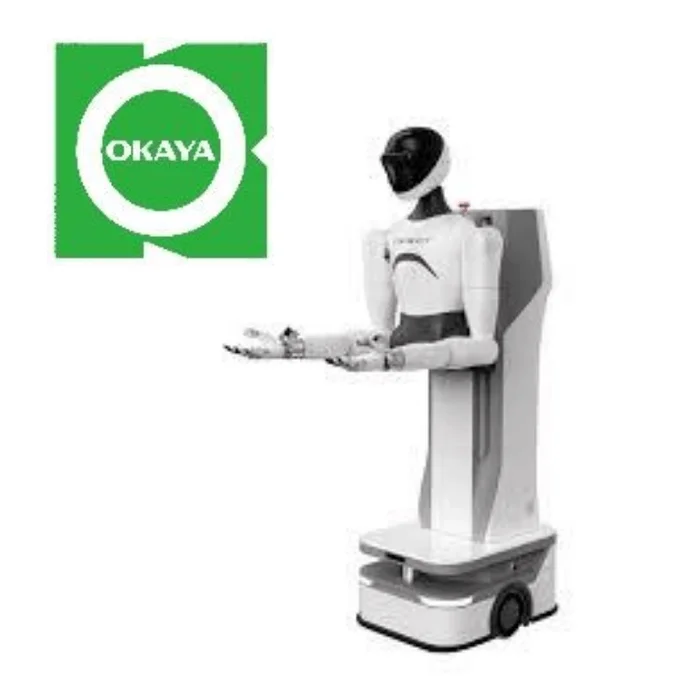 ヒューマノイドロボット